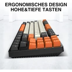 HAVIT KB487L TKL Mechanical Keyboard With 90 Keys PBT Keycaps 23 HAVIT KB487L TKL Mechanical Keyboard With 90 Keys PBT Keycaps