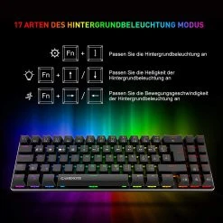 HAVIT KB512L 60% Gaming Mechanical Keyboard With 72 Keys, LED Backlit, Detachable USB Type-C Cable 15 HAVIT KB512L 60% Gaming Mechanical Keyboard With 72 Keys, LED Backlit, Detachable USB Type-C Cable
